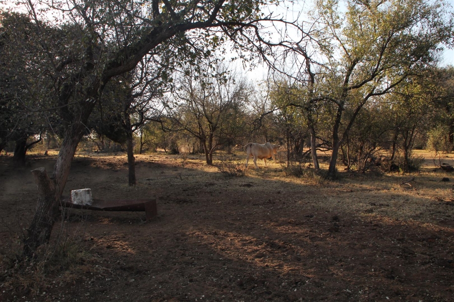 0 Bedroom Property for Sale in Vryburg Rural North West